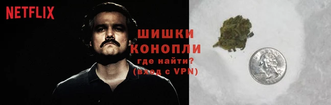 COCAINE Белокуриха